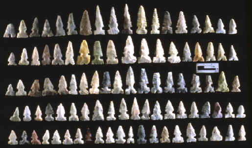 Cahokia points found by Ed Roach.