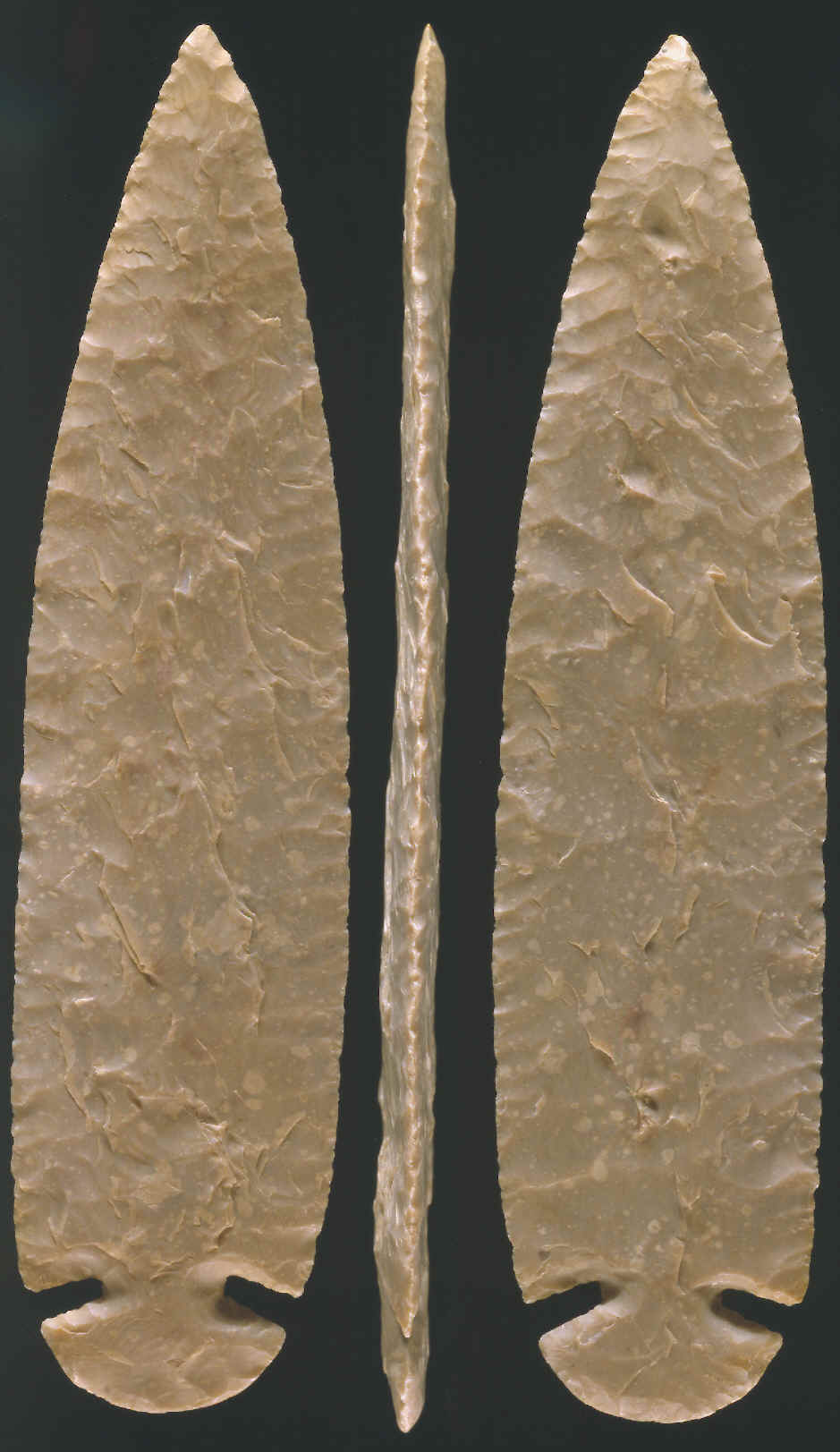 A "Gray Ghost" Dovetail made by Bryan Reinhardt.