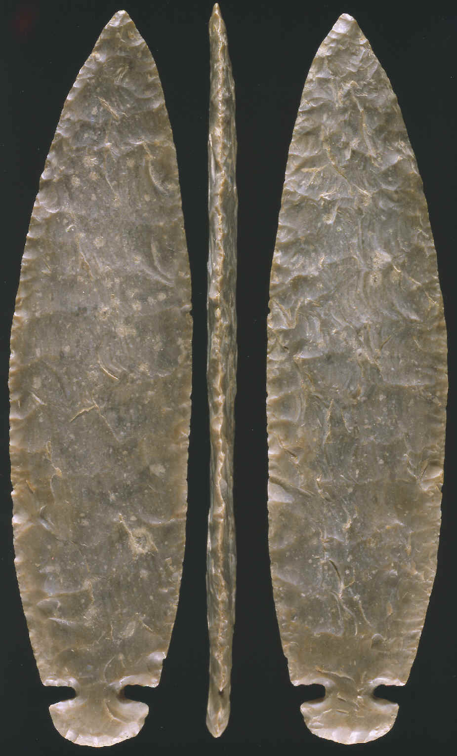 Gray ghost Dovetail 3 views.