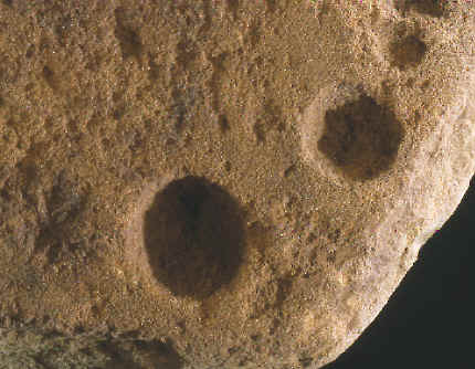 Nut cracking holes on edge of large axe grinding stone.