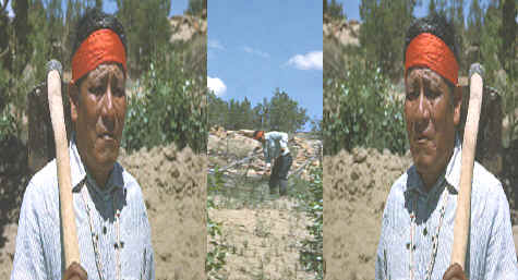 Navajo man with hoe.