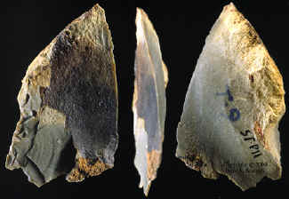 One of Kanzi's stone flake cutting tools.