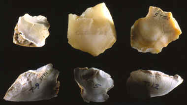Flake tools from Olduvai Gorge and some made by Kanzi.