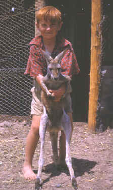 Boy holding kangaroo.