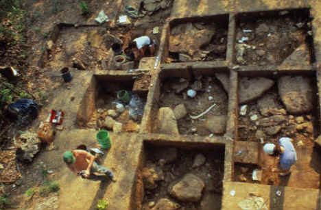 Excavation of Kimmswick site bone bed in 1979.