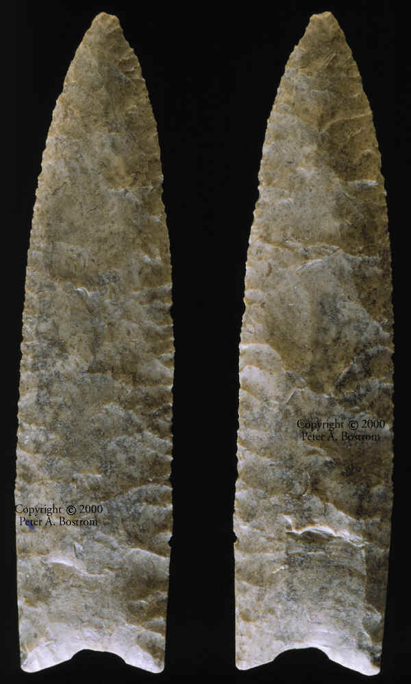 Large Clovis point from the Kimmswick site.