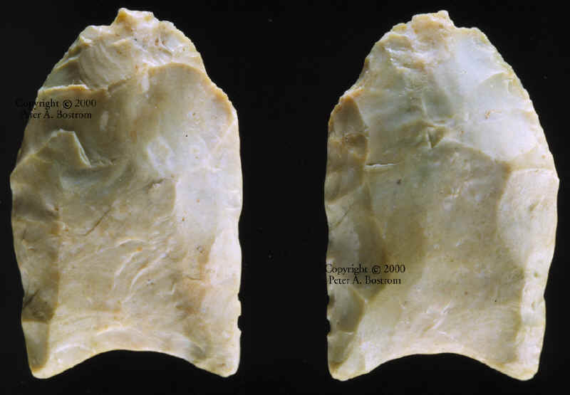 Small Clovis point from the Kimmswick Mastodon kill site.