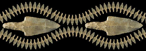 Abstract picture of Mayan stemmed macro blades.