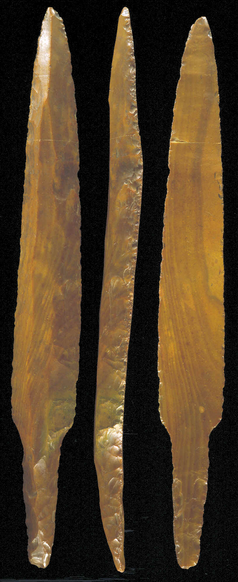 A very large example of a Mayan stemmed macro blade.