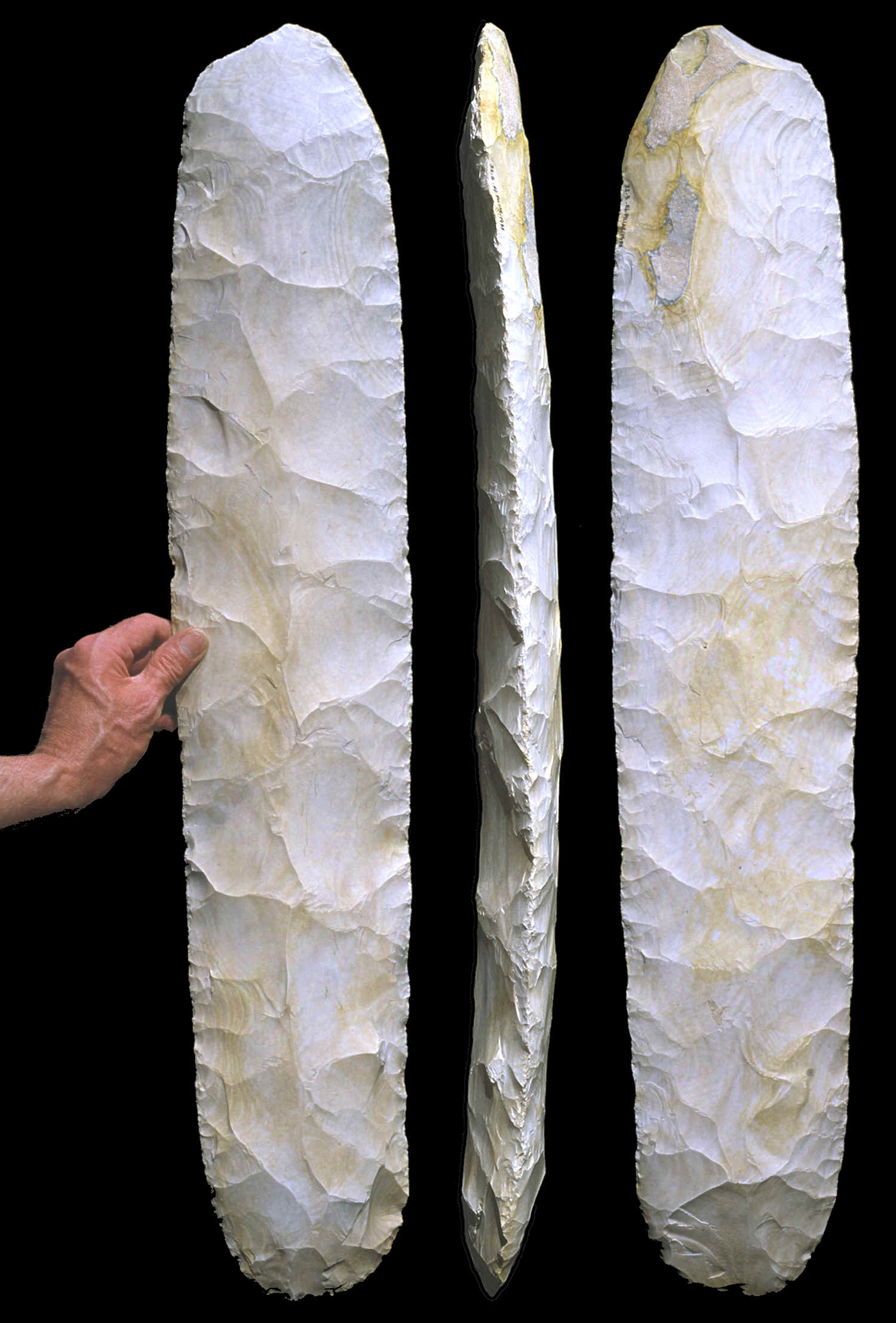 Large Mayan biface, 32 1/2 inches long.