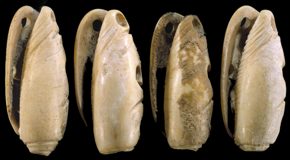 Four Mayan marine shell tinklers.