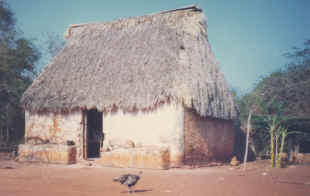 Mayan house in the Yucatan Peninsula.