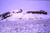 Typical summer snow storm at the Mesa site looking north.