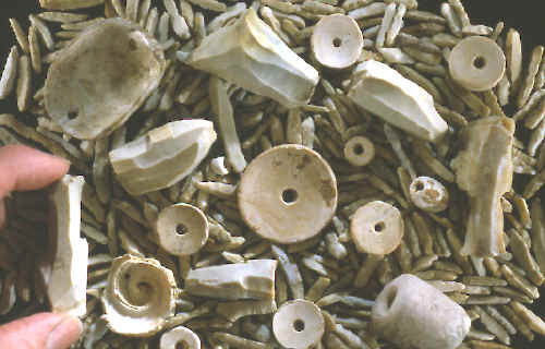 Micro-drills, cores and various types of drilled shell beads.