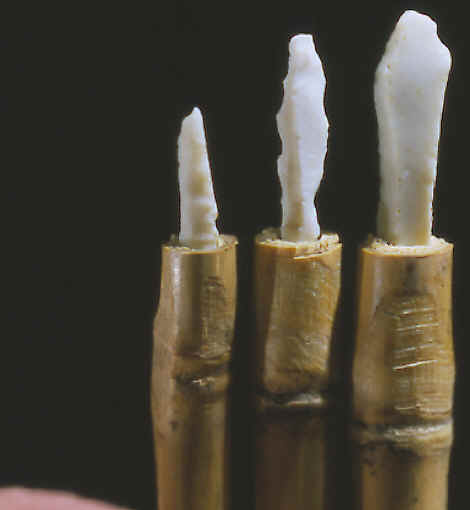 Micro-drills hafted on cane shafts.