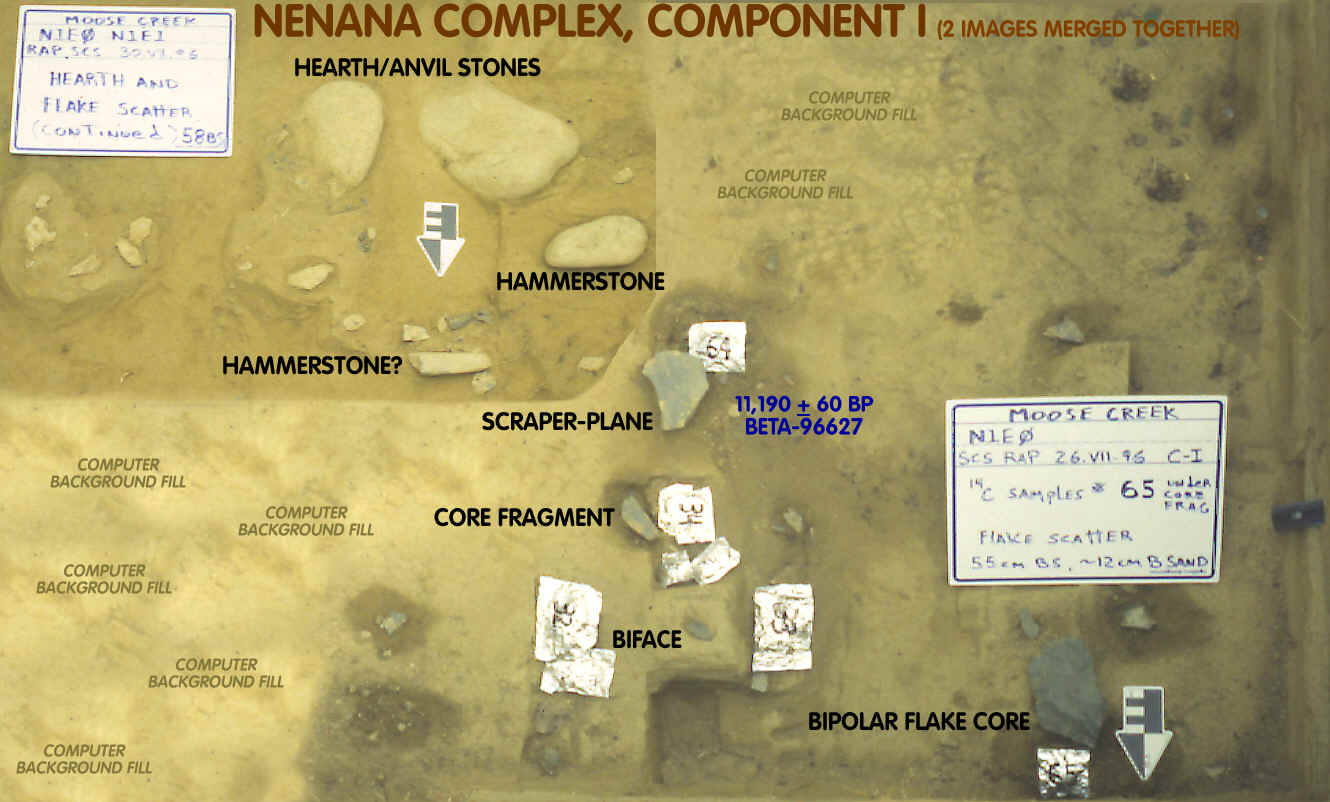 Nenana complex occupation level, tools in situ.