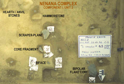Nenana complex artifacts in situ, Moose Creek.
