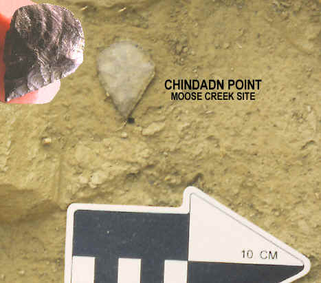 Chindadn point in situ, Moose Creek site.