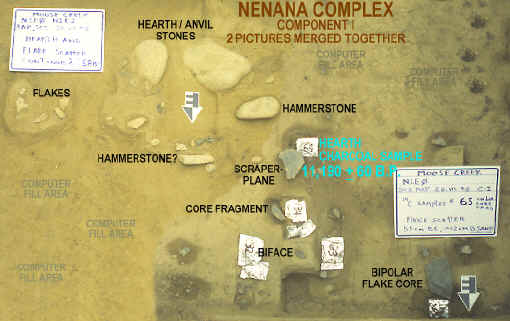 Artifacts in situ, Nenana complex occupation level.