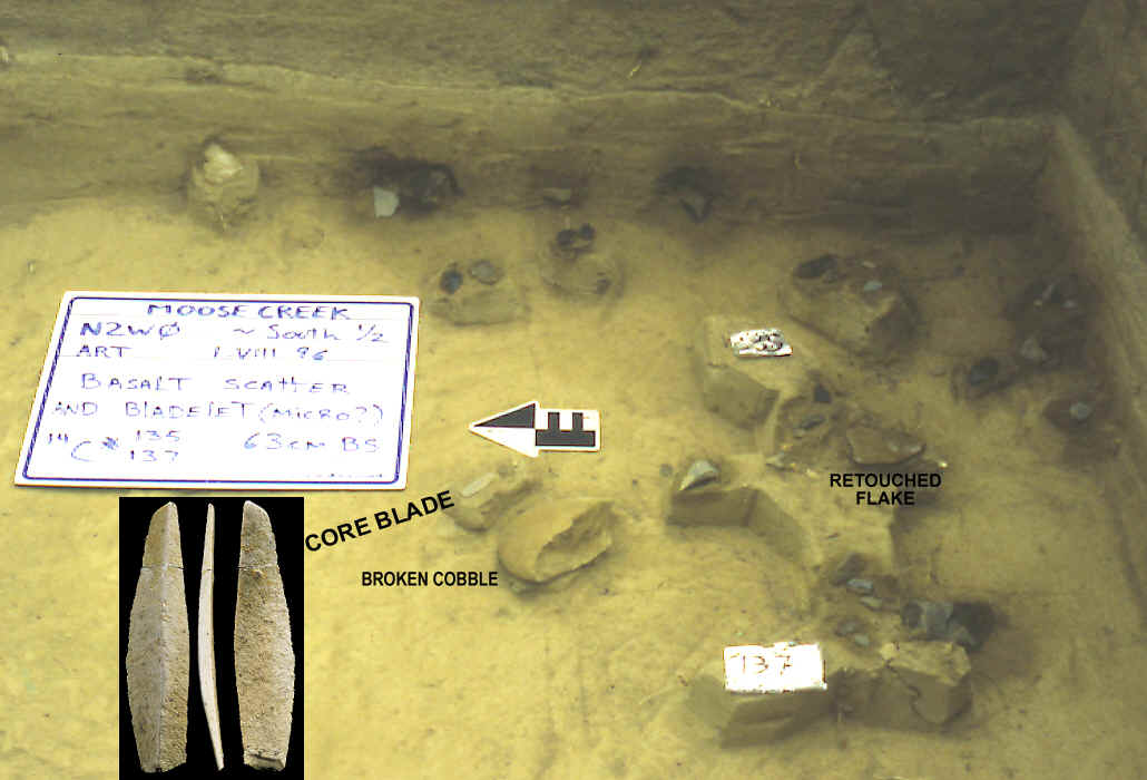 Excavated Nenana occupation level.