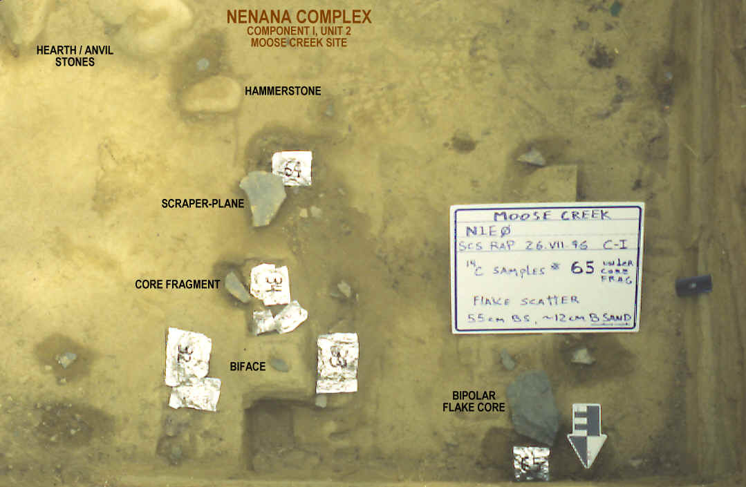 Nenana occupation level, Moose Creek site.