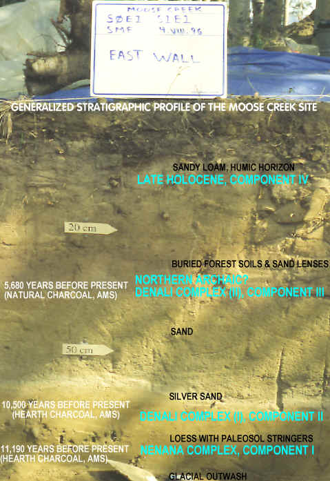 Stratigraphic profile of the Moose Creek site.