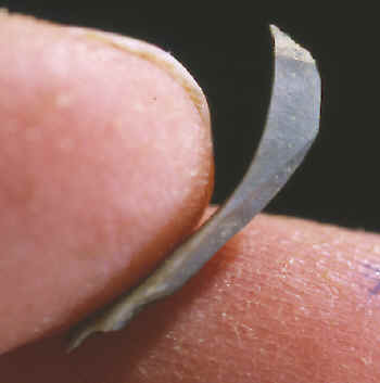Small microblade from Denali complex I, Moose Creek.