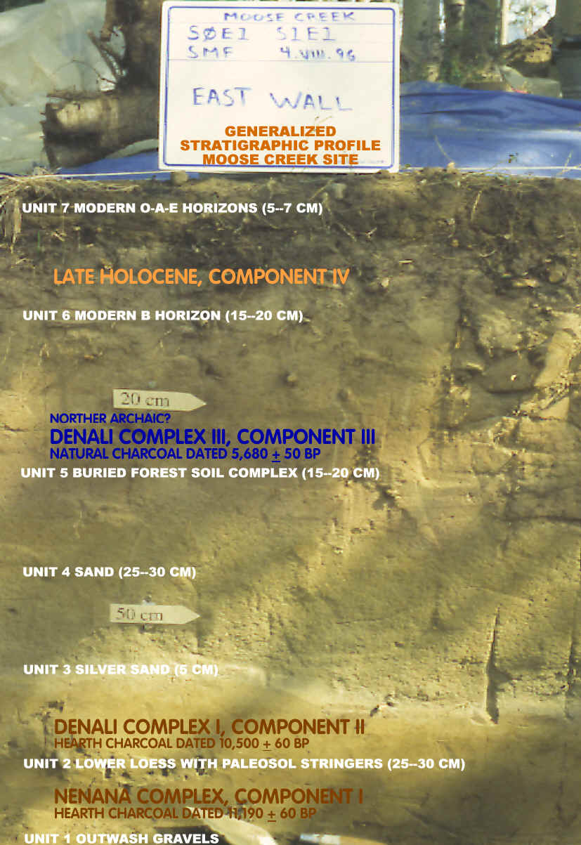 Stratigraphic profile, Moose Creek site.