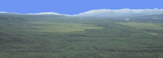 The Nenana Valley below the Moose Creek site, 1996.