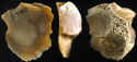 Oldowan flake from Olduvai Gorge, Tanzania.