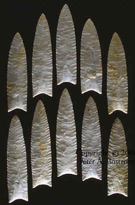 Dalton cache from the Olive Branch site in Illinois.