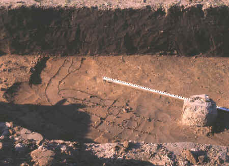 Excavated features on the Loyd site.