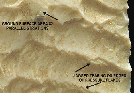 Magnified view of surface grinding on possible Warren point.
