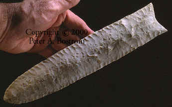 Large Sloan Dalton point.