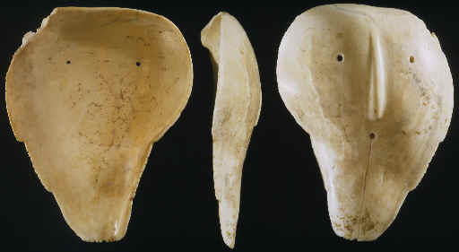 Three views of a large marine shell mask from South Dakota.