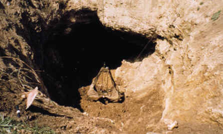 Clearing out Sheriden Cave sink hole.