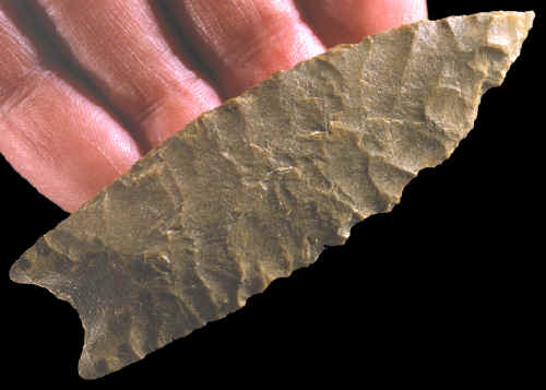 Paleo point from the Dilts site with restored ear.