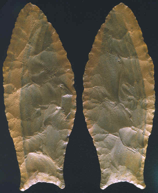 Simpson point from Florida.