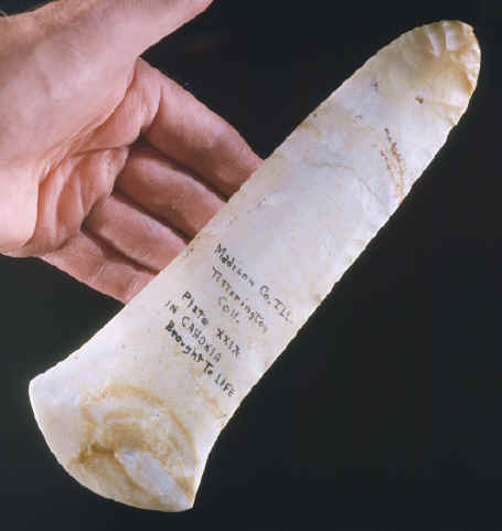 Stone spud from Cahokia Mounds site, Illinois.