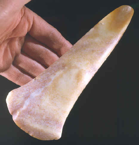 Colorful spud from southern Illinois.