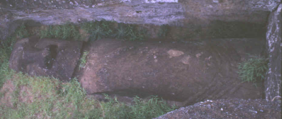 Easter Island statue laying in the quarry.