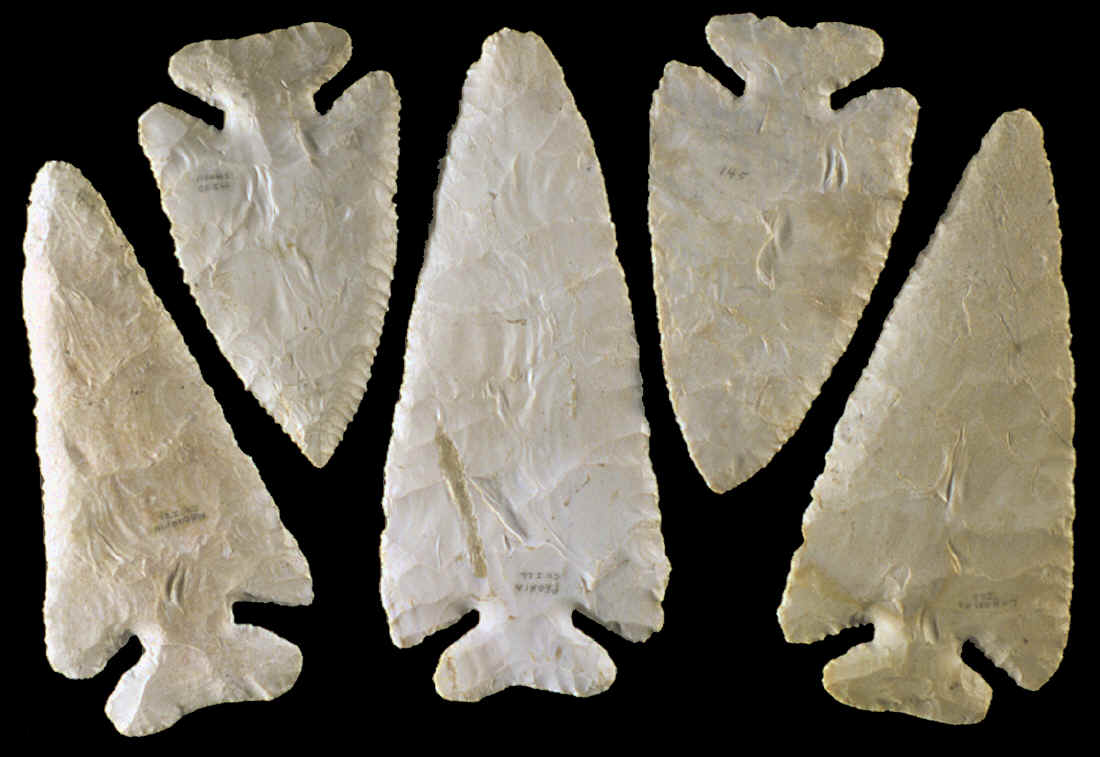 Five Cache variety Thebes points from Illinois & Iowa.