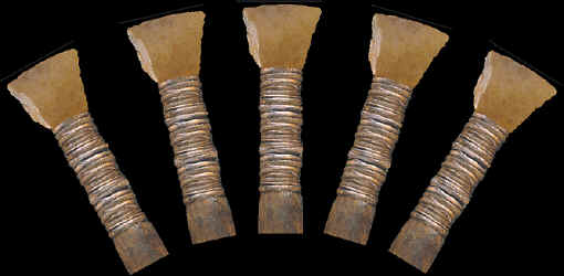 Transverse arrowheads mounted on arrow shafts.