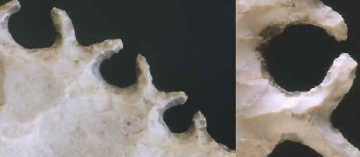 Closeup of the odd patination on the edges of 2 Tussinger eccentrics.