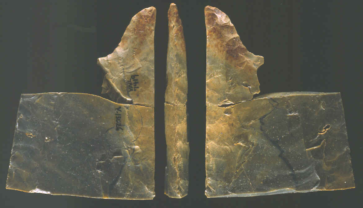 Base of a Fluted point found on the Vail site, Maine.