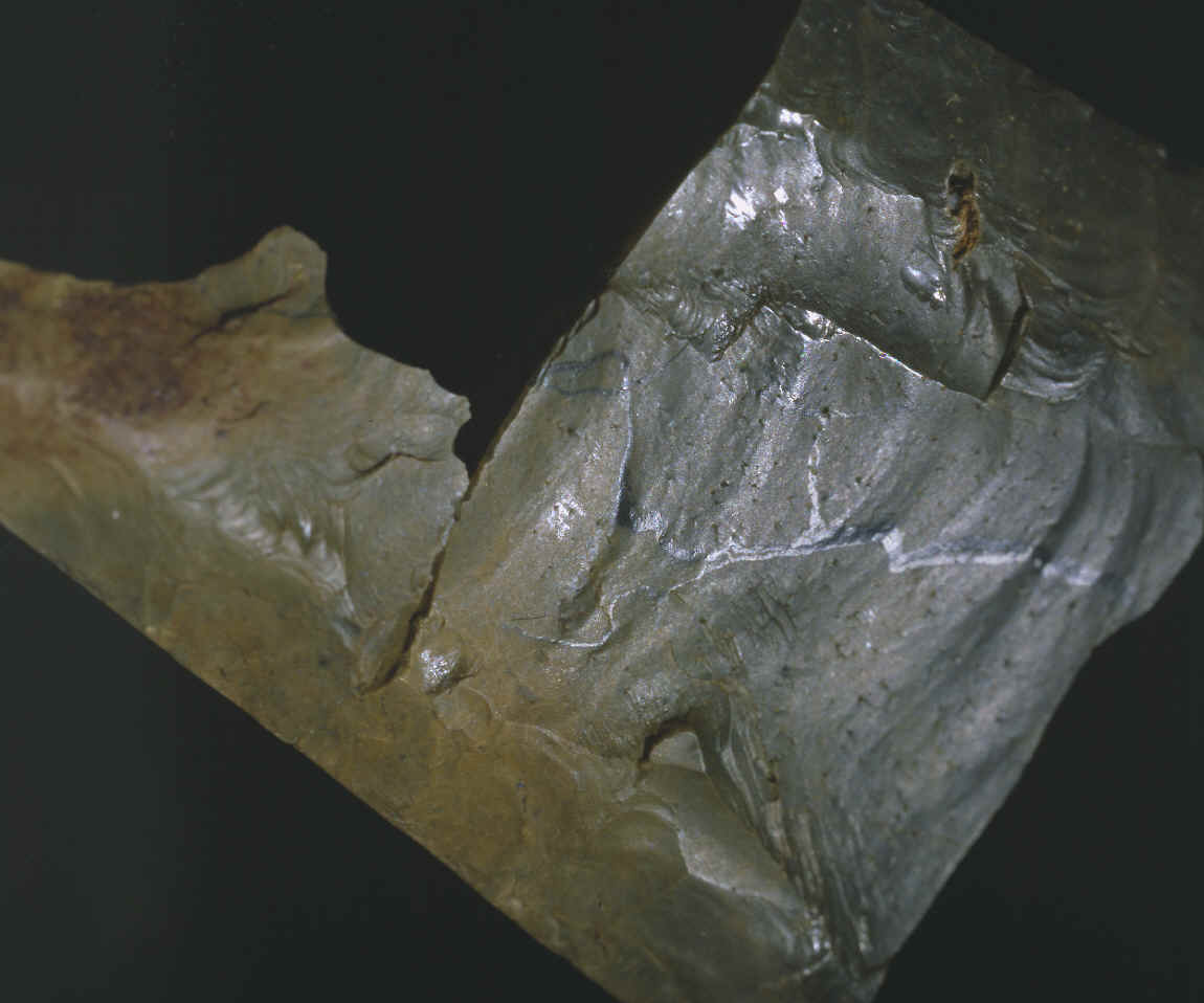 Polish area on Fluted point from the Vail site.