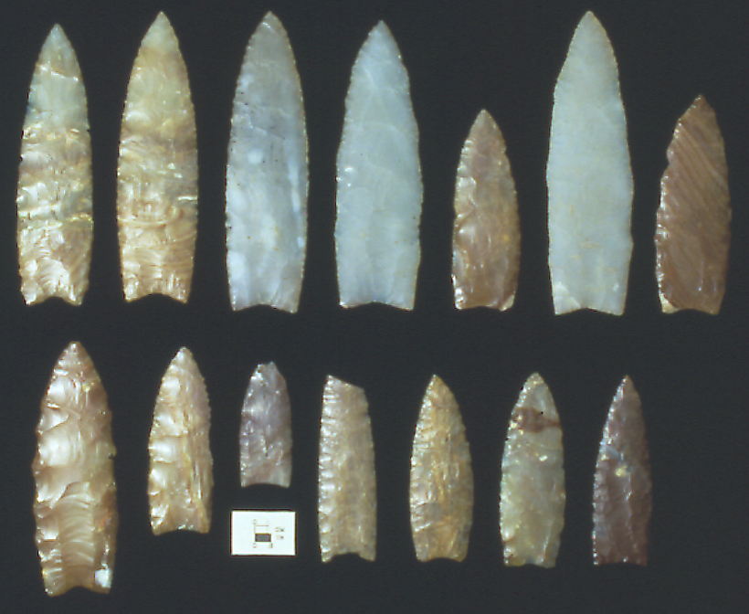 14 Clovis points from the East Wenatchee Clovis site.