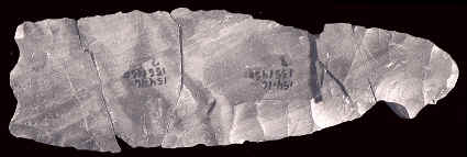 Fluted point from the Windy City site in Maine.