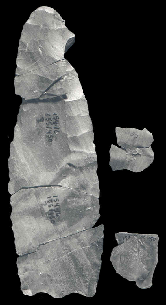 Fluted point from the Windy City site.