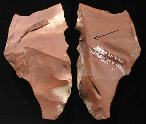 Overshot flake from the Windy City site in Maine.